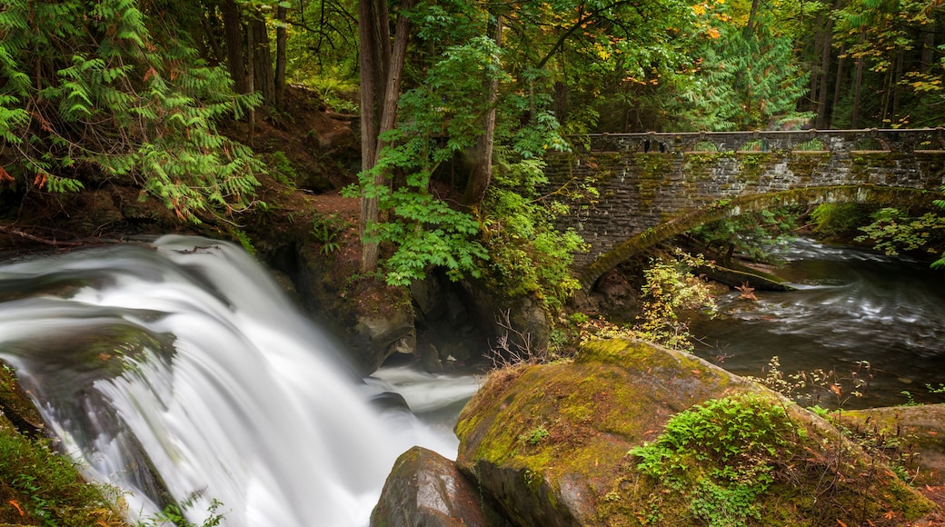 อีสต์ไซด์