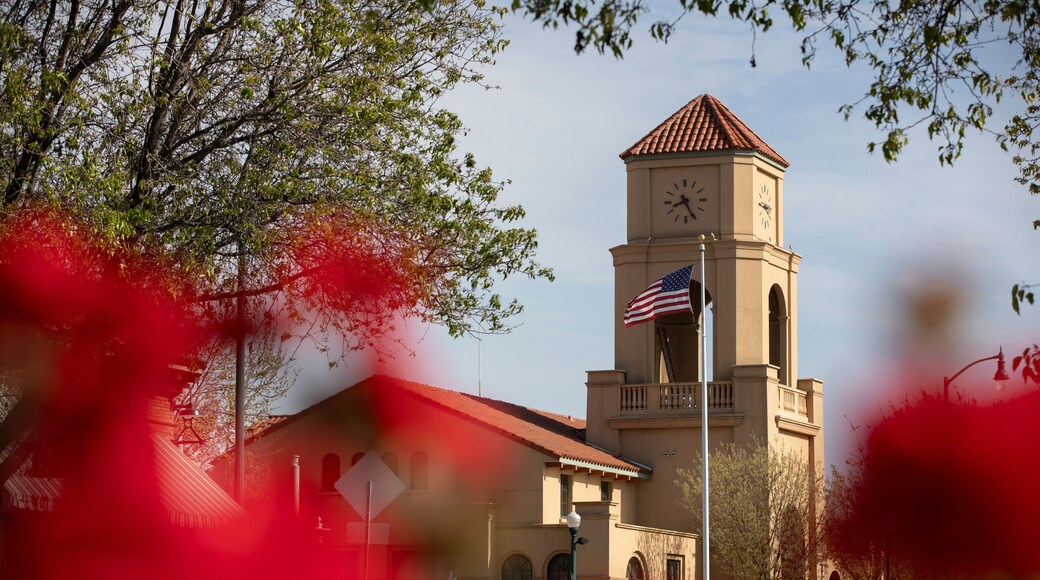 ดาวน์ทาวน์ เทรซี