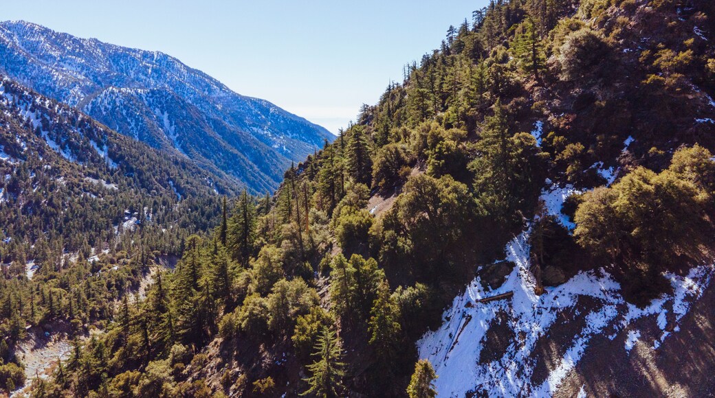 Snowcapped San Gabriel Mountains
