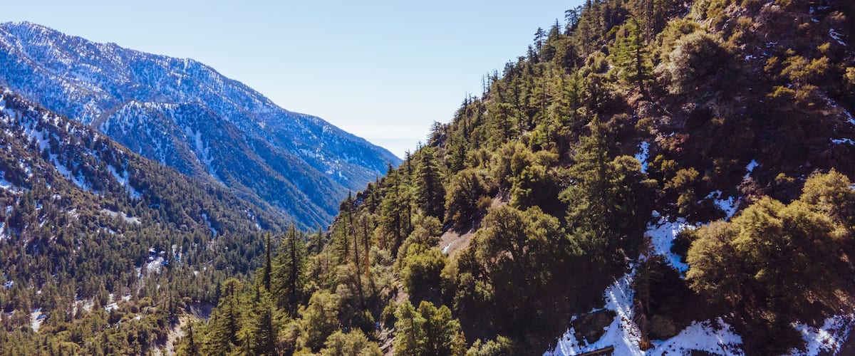 A mountainous landscape with dense forests and snow patches.