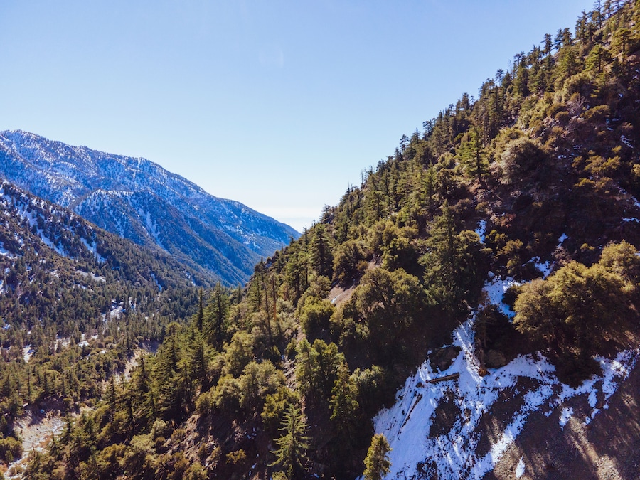 A mountainous landscape with dense forests and snow patches.