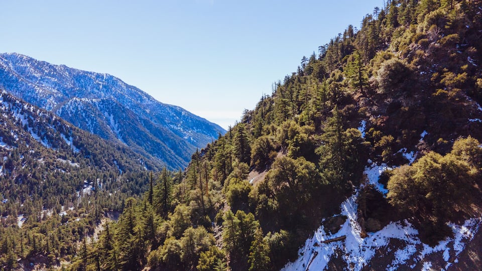 A mountainous landscape with dense forests and snow patches.