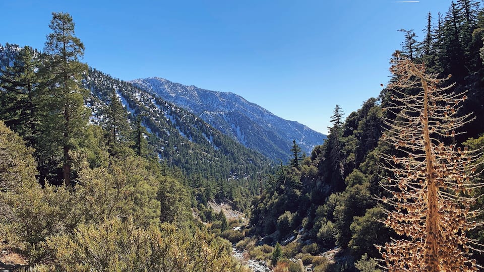 A mountainous landscape with dense forests and a clear blue sky.