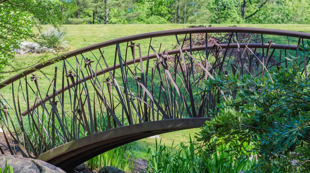 Artistic bridge in green lush garden setting. Sarah P. Duke gardens in Durham, NC.