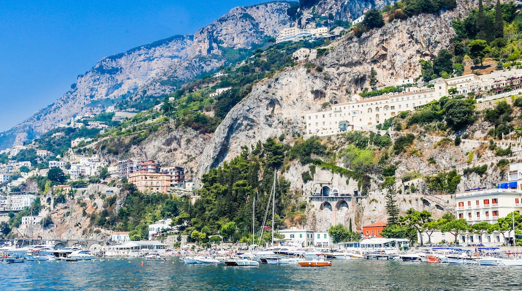 ปาสเตนา