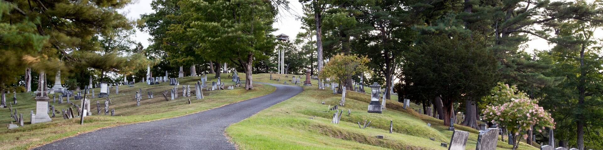 road in a cemetery
