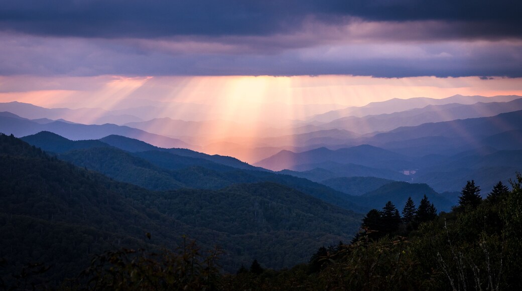 ดาวน์ทาวน์