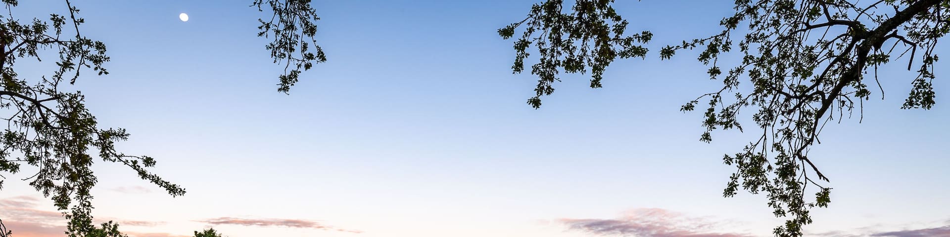 Dinosaur Hill Park at Sunset