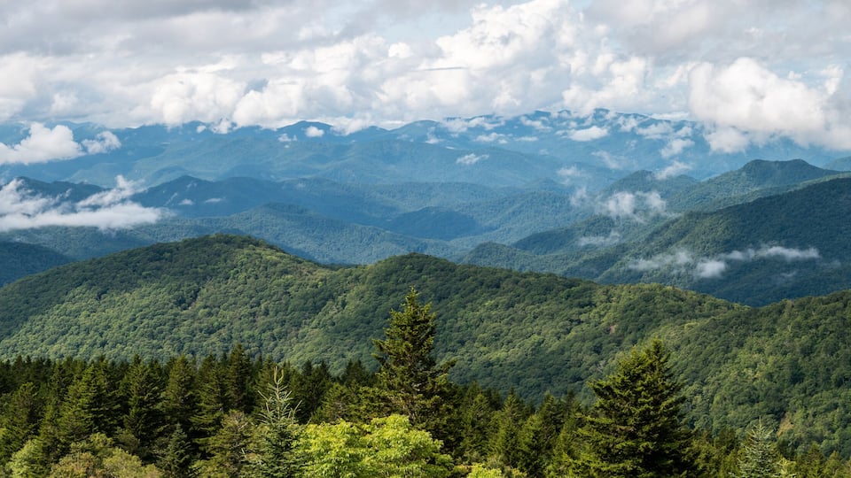 Appalachian Mountain View Along the Blue Ridge Parkway