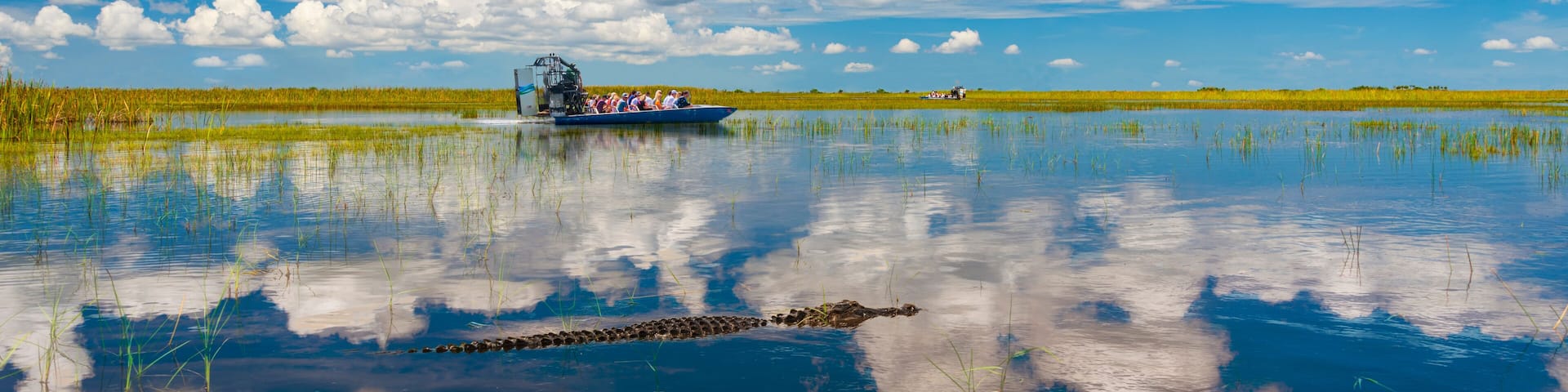 Florida Everglades airboat rides and alligators