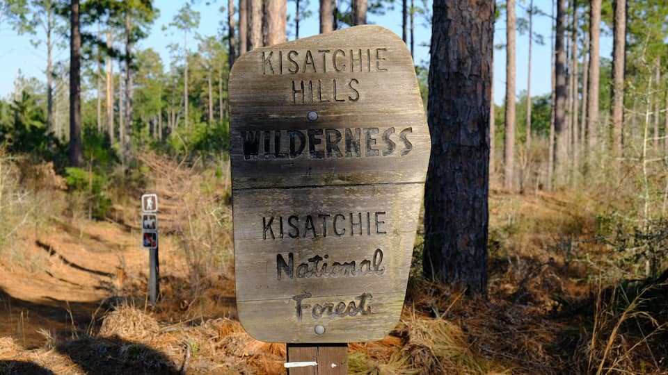 A wooden sign in a forested area with text reading "Kisatchie Hills Wilderness" and "Kisatchie National Forest".