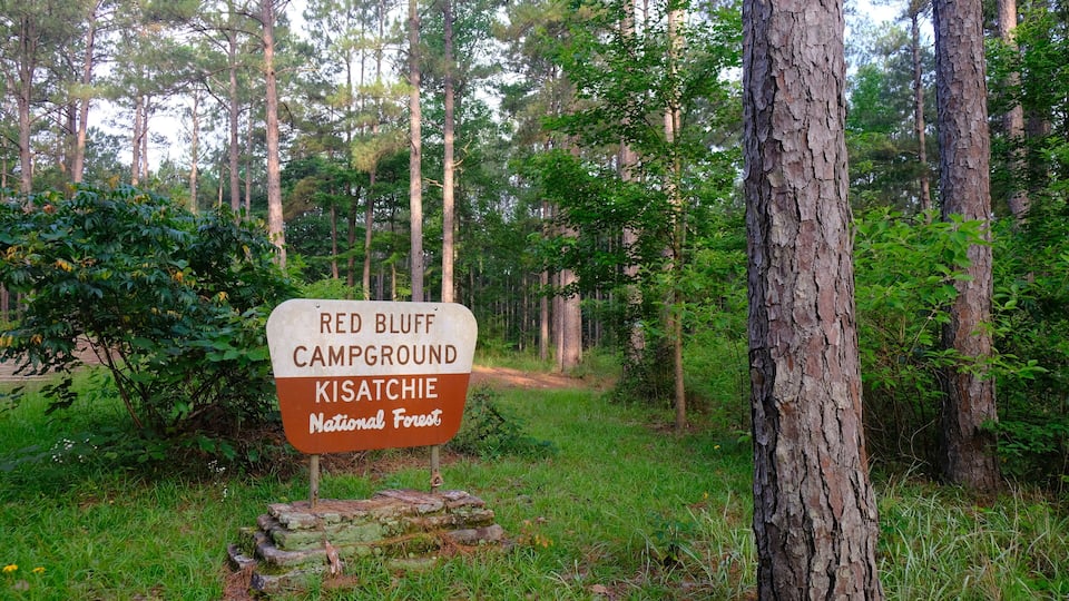 A sign for Red Bluff Campground in Kisatchie National Forest.