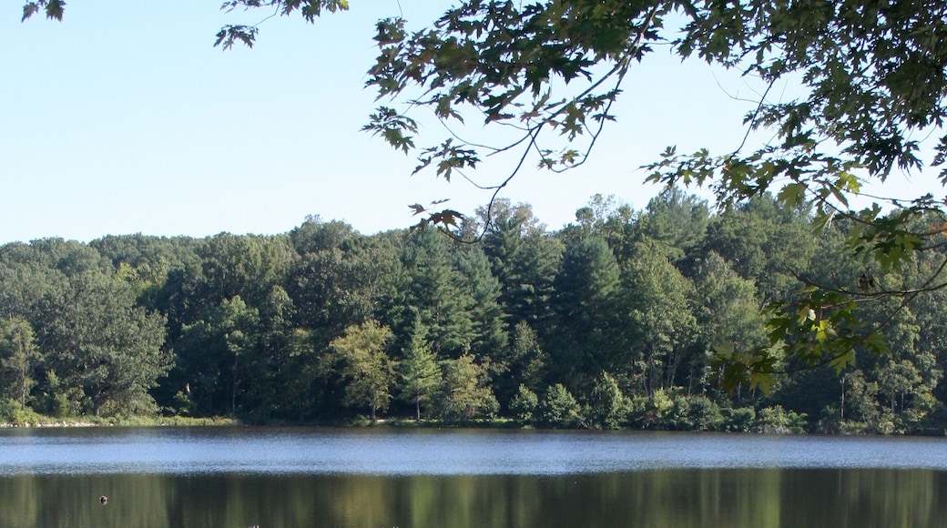 Dock Lake Loch Loma Poplar Bluff Missouri