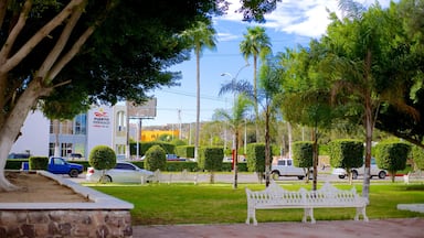 Puerto Penasco featuring a park