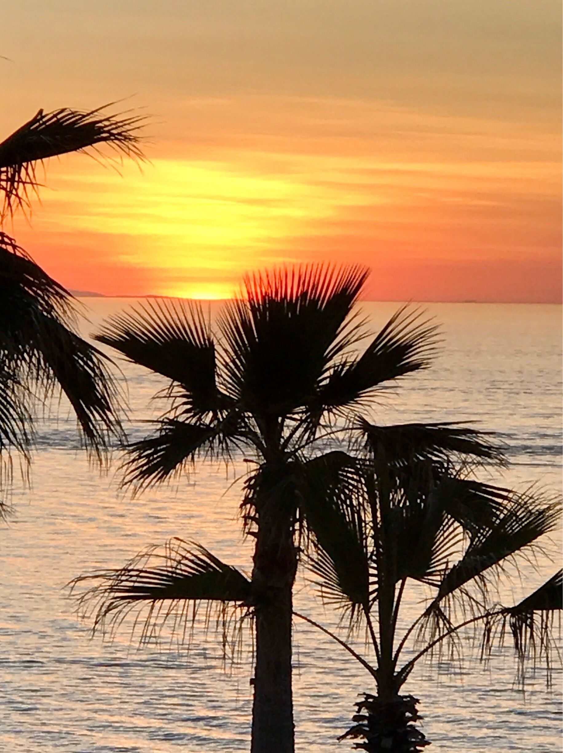 Puerto Penaso / Rocky Point,  Mexico.   Sunset and tequila, always great for a sunset!