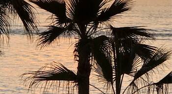 Puerto Penaso / Rocky Point, Mexico. Sunset and tequila, always great for a sunset!