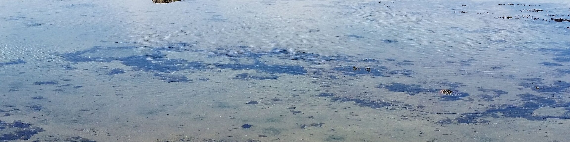 Just an hour and a half drive from the boarder, Puerto Peñasco is a perfect getaway for anyone in Arizona. The coral all over the beach makes for a super interesting beach experience.
#WeekendGetAway