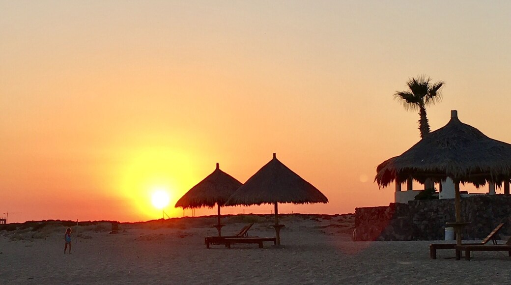 Our summer retreat! I will always love the peacefulness and beauty of this private vacations condo in Puerto Penasco!