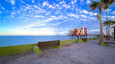 Um calçadão à beira-mar com um banco de madeira, palmeiras e um edifício colorido próximo ao mar.