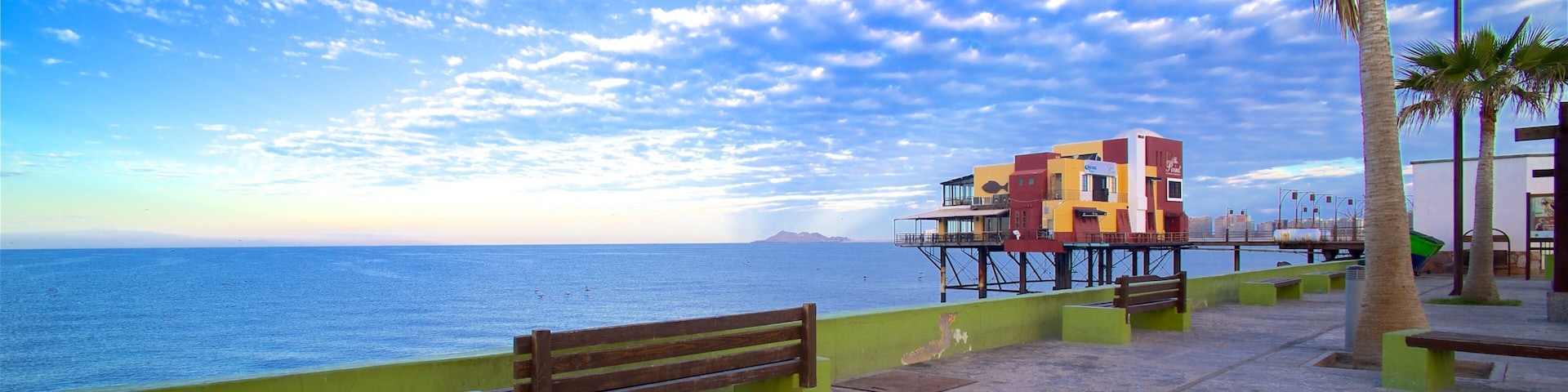 Un paseo marítimo con un banco de madera, palmeras y un edificio colorido frente al mar.
