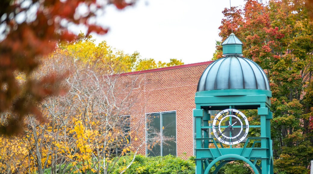 Phố cổ Rock Hill