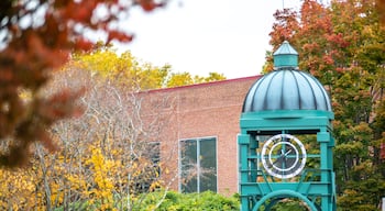 Rock hill south carolina downtown autumn season