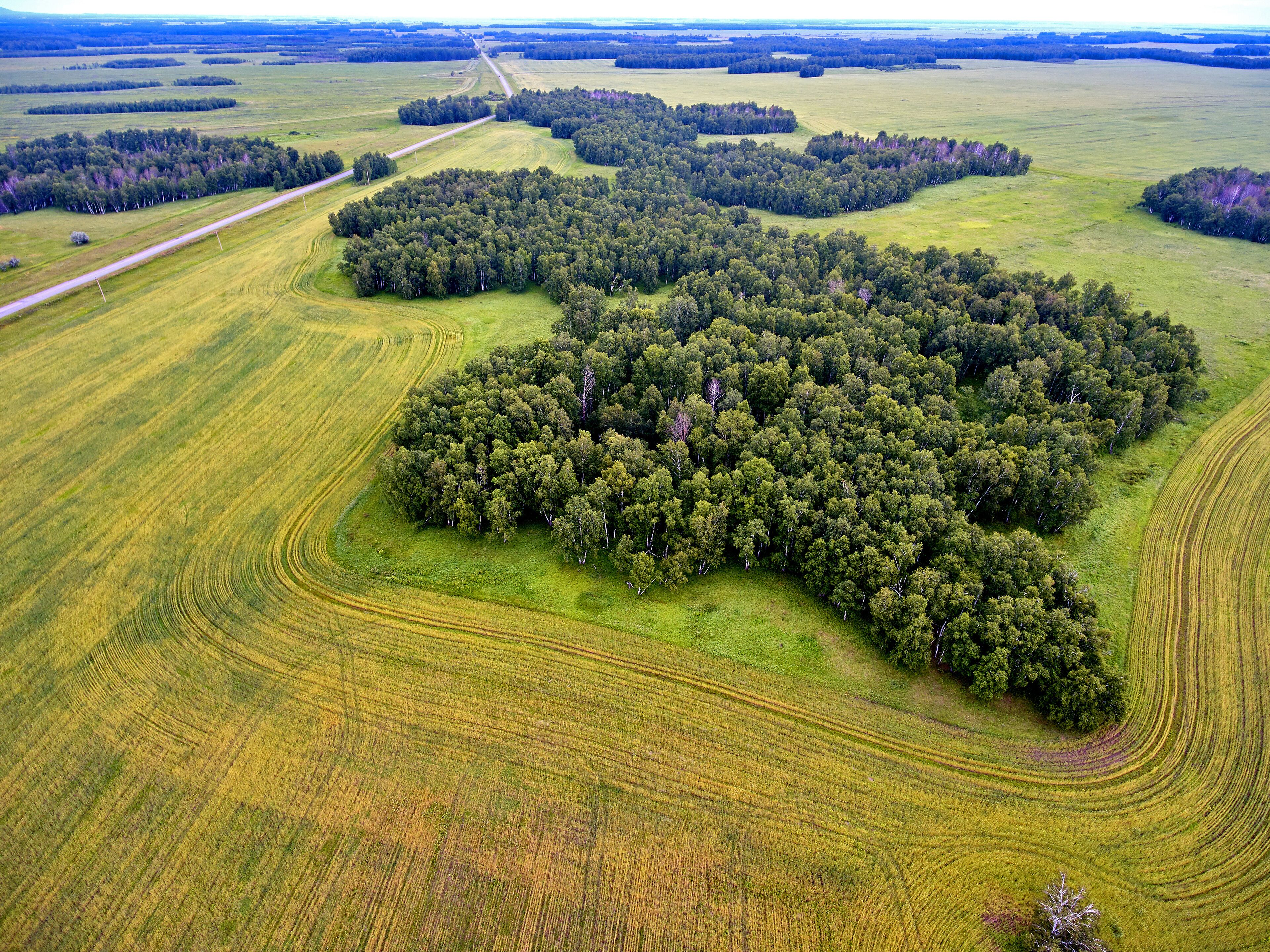بيتروبافلوفسك