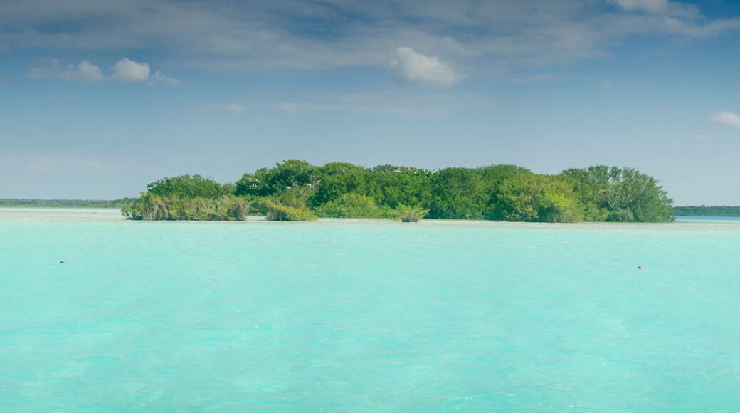 มาจิสเตรียล