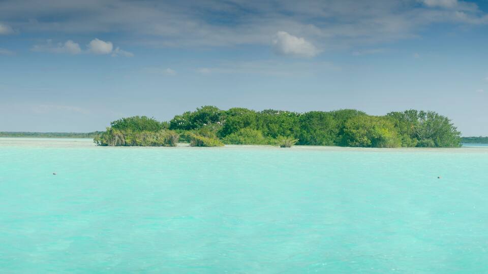 bacalar