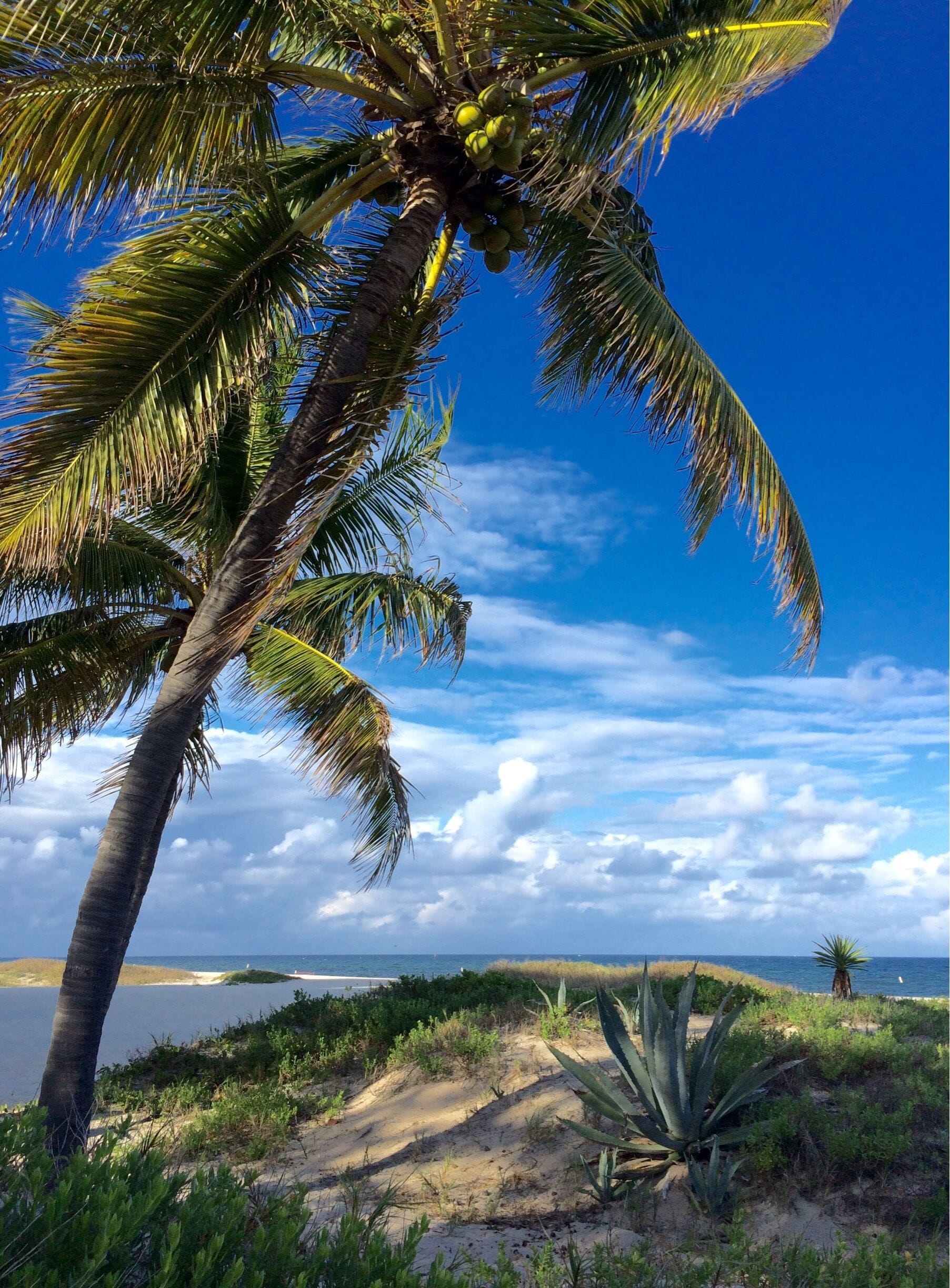 Just north of the pier is this nice little spot that's not too crowded. 