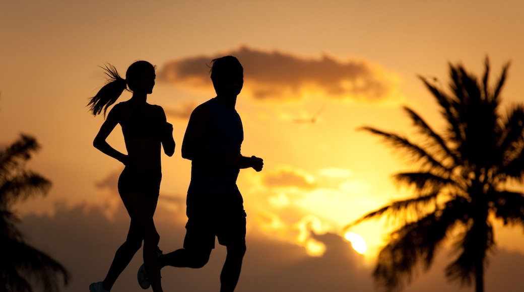 Couple man and woman running jogging silhouettedagainst tropical sunrise sunset with palm trees and ocean on South Miami Beach Florida