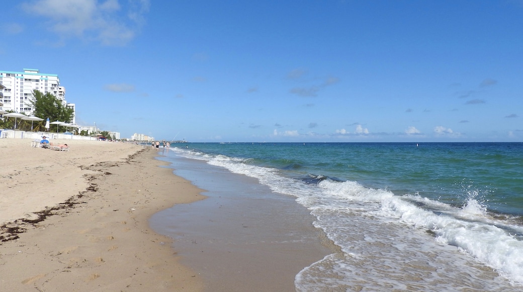 Pompano Beach is a Florida city just north of Fort Lauderdale. It’s known for its beaches, marinas and offshore coral reef, plus numerous wrecks and other dive sites.
#BeachTips
#LikeALocal