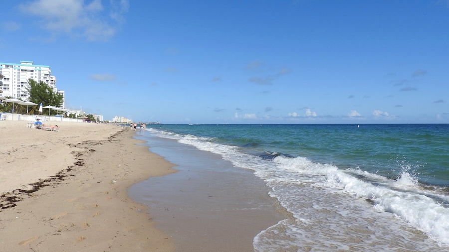 Pompano Beach is a Florida city just north of Fort Lauderdale. Itâs known for its beaches, marinas and offshore coral reef, plus numerous wrecks and other dive sites.
#BeachTips
#LikeALocal