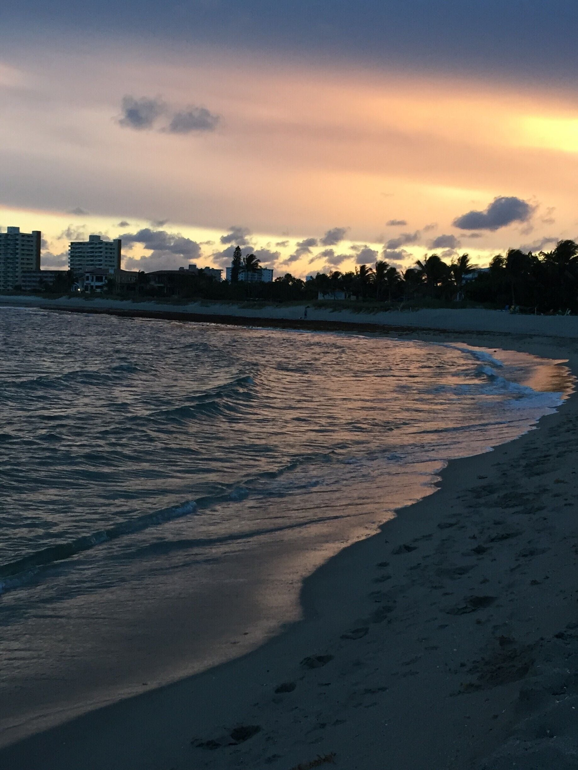 A beach with waves at sunset, buildings in the background, and palm trees.