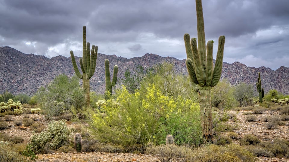 White Tank Mountain Scenes Near Phoenix Arizona