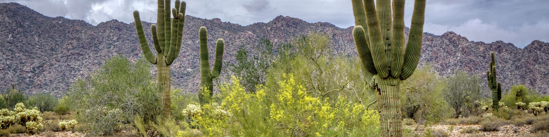 White Tank Mountain Scenes Near Phoenix Arizona