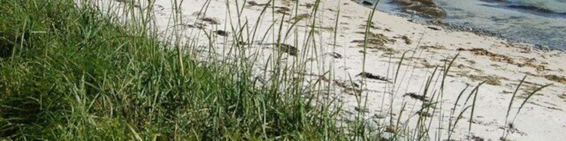 The bay Crossed the dirt track from The Green and took the photo looking NNW