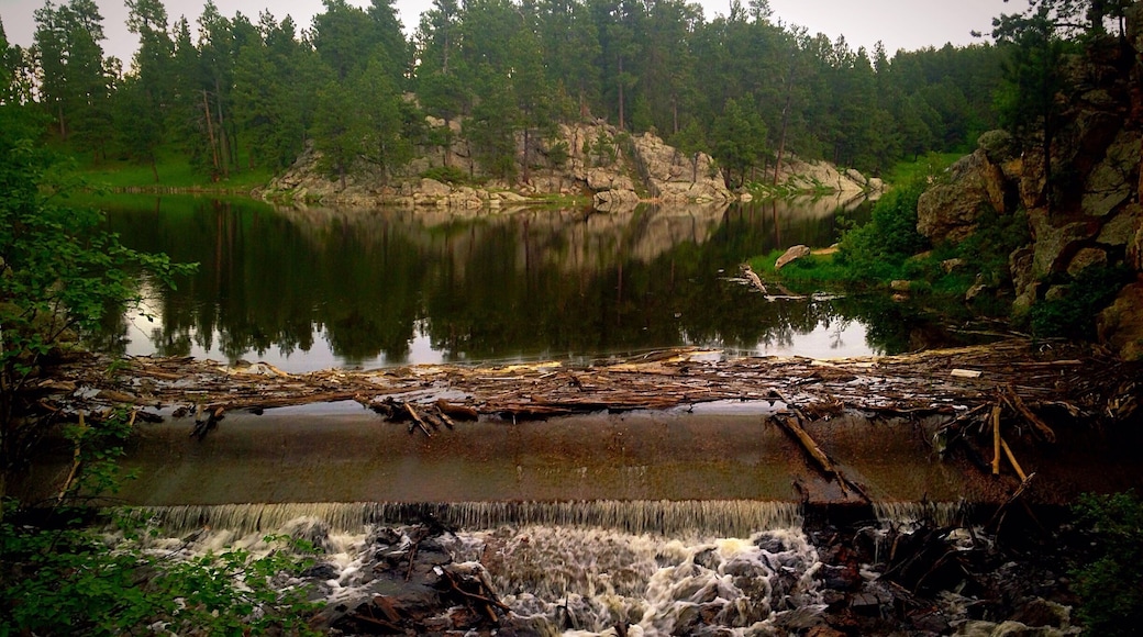 Lake in Custer State Park