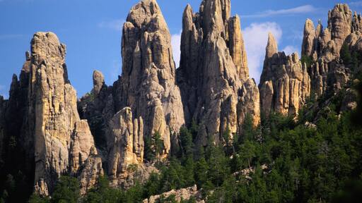 The Needles at Custer State Park, South Dakota