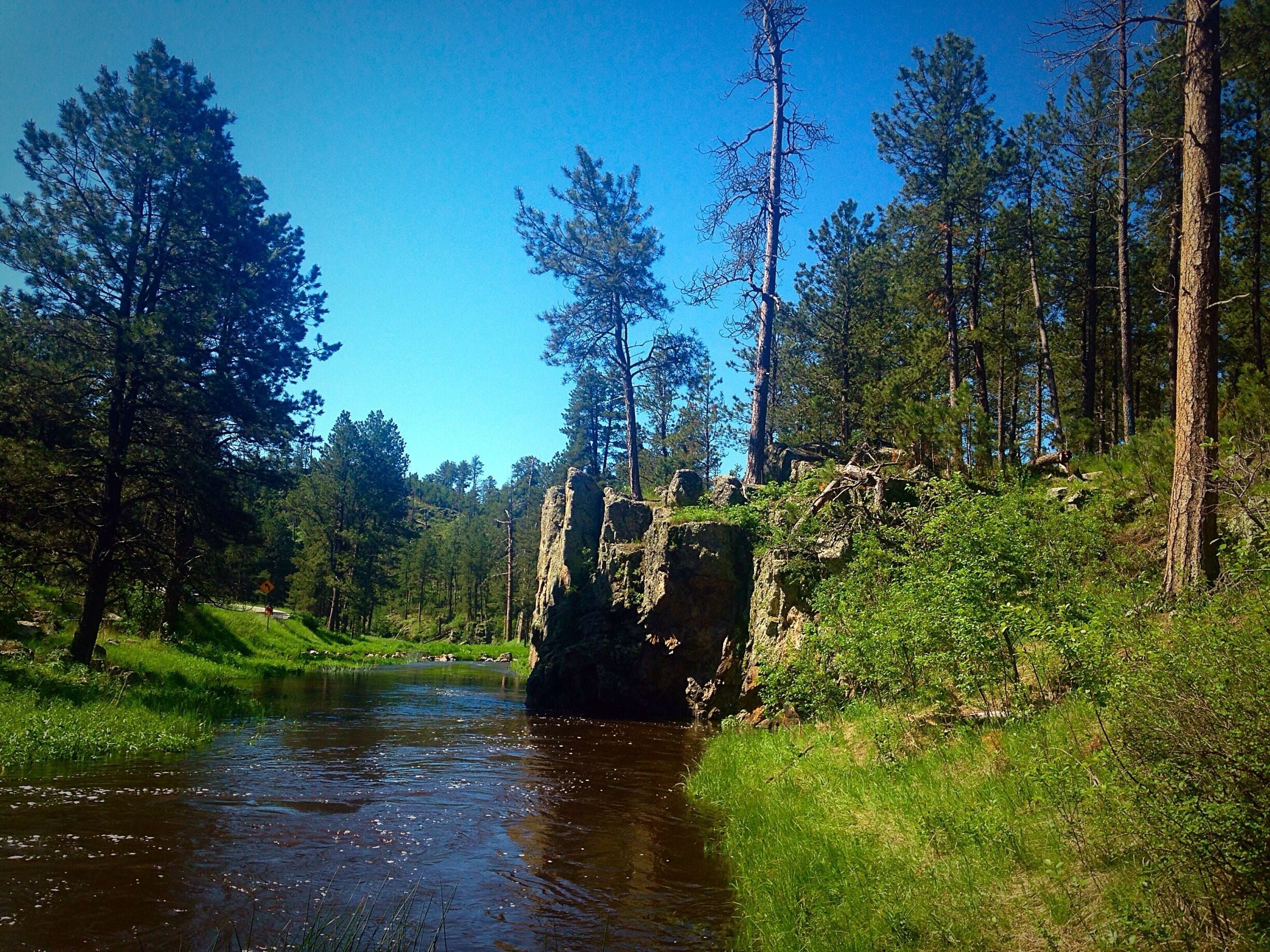 Custer State Park #hiking