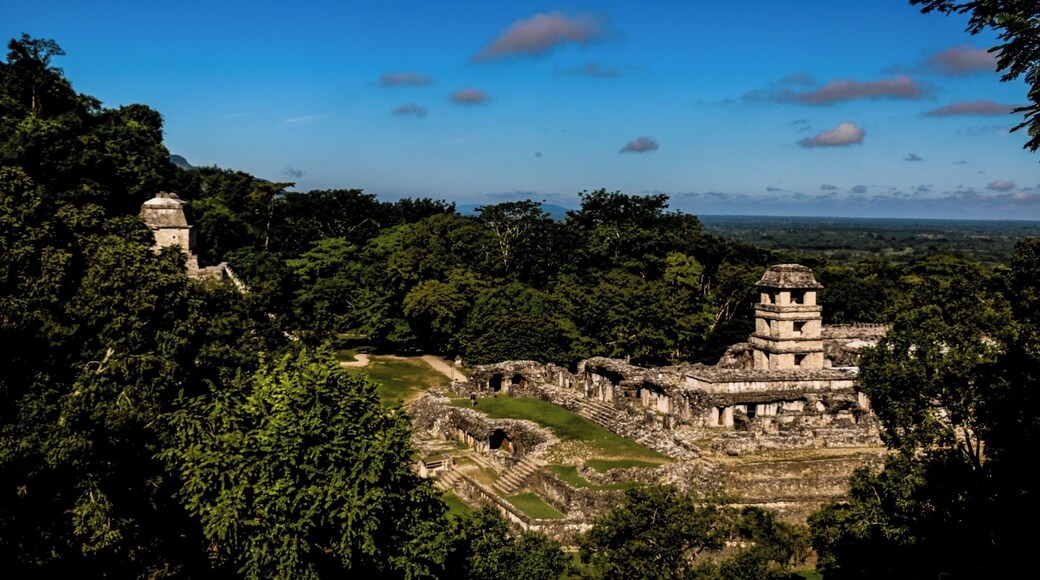 A little lesser-known than many of the ancient ruins in Central America, Palenque - in Chiapas, Mexico - is still a great spot to check out while in the area.
Getting there takes a bit of time, but you'll be rewarded with smaller crowds, and a little more "left to the jungle" vibe.
#Mexico #Chiapas #Palenque #Ruins