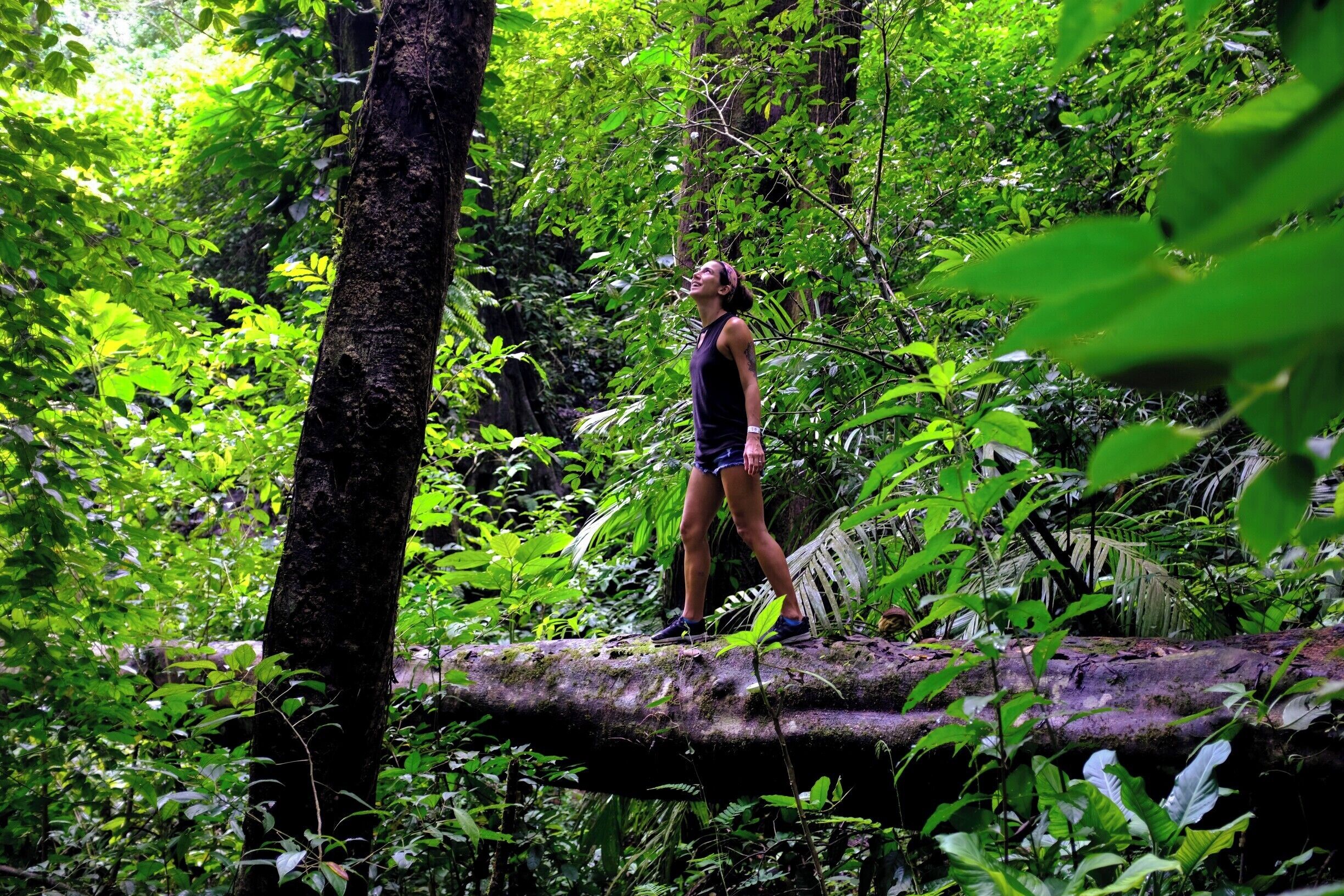 \\ Ancient ruins at Palenque 🌿
\\ Getting up early to explore one of the most magical places. Once a powerhouse Mayan city, and suddenly abandoned in 900 AD to be retaken by the jungle.
//
The Mayans left so mysteries but they’re not gone. Our next adventures In the Chiapas aim to meet some of these people and to understand more about indigenous life, culture, struggles and daily life.
//
Mexico is a truly diverse place in people, culture and landscape.