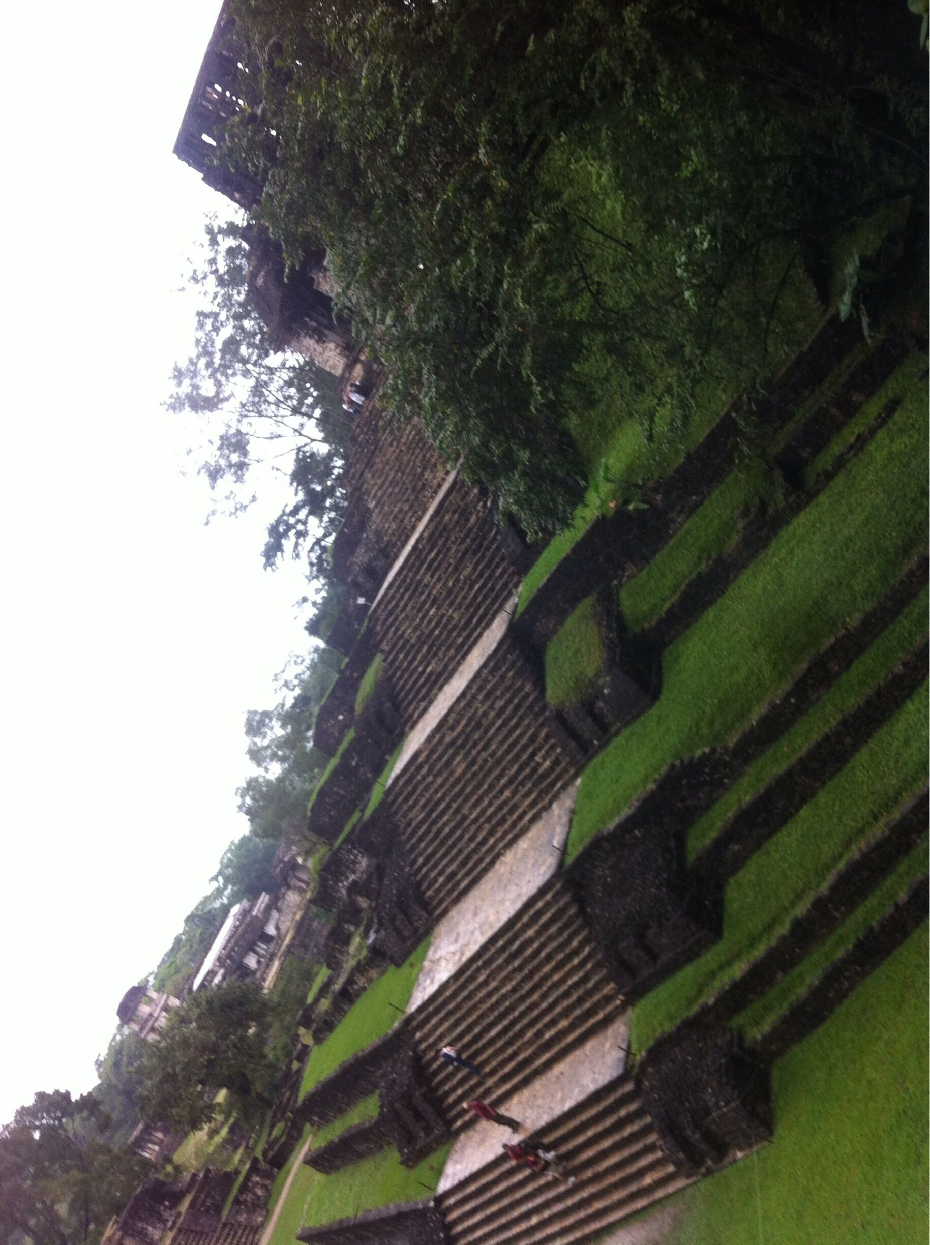 Palenque......be amazed!!