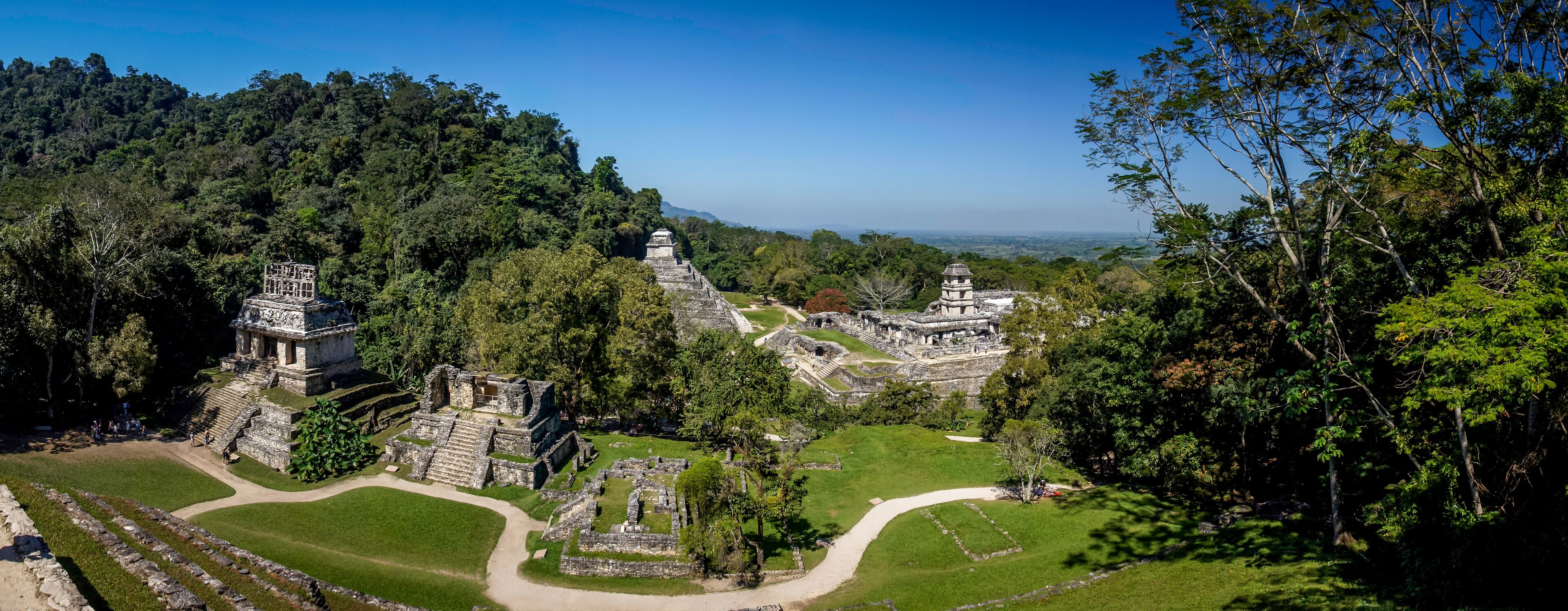 ve panoramique de la cité de palenque