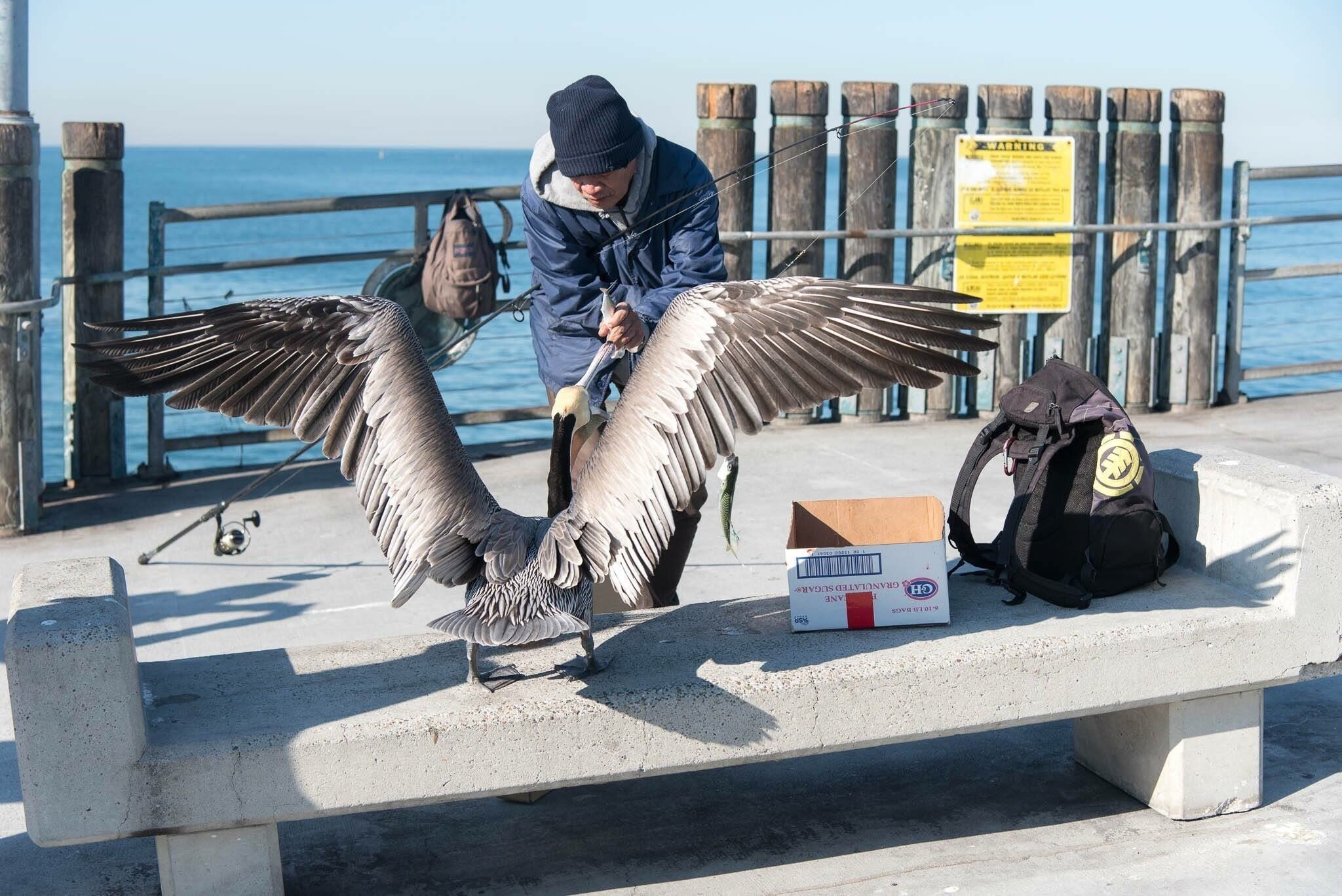 This little, well, rather big guy was hustling all the fisherman... looks like he gets a bite every now and again!