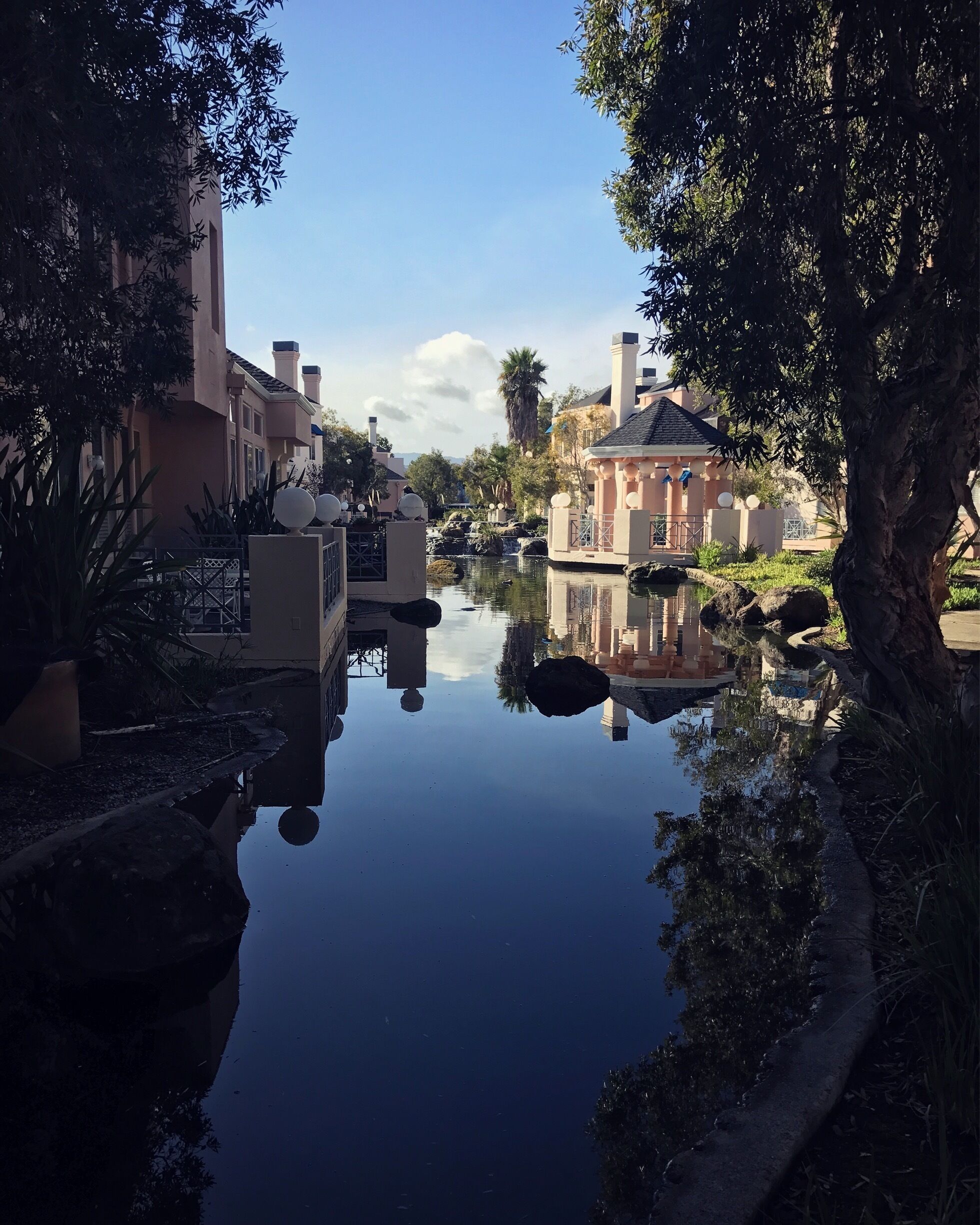 A morning stroll through the neighborhood and I come across this beauty.