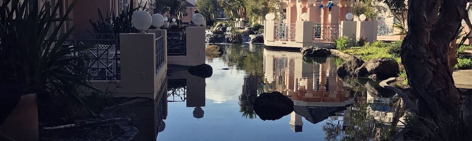 A morning stroll through the neighborhood and I come across this beauty.