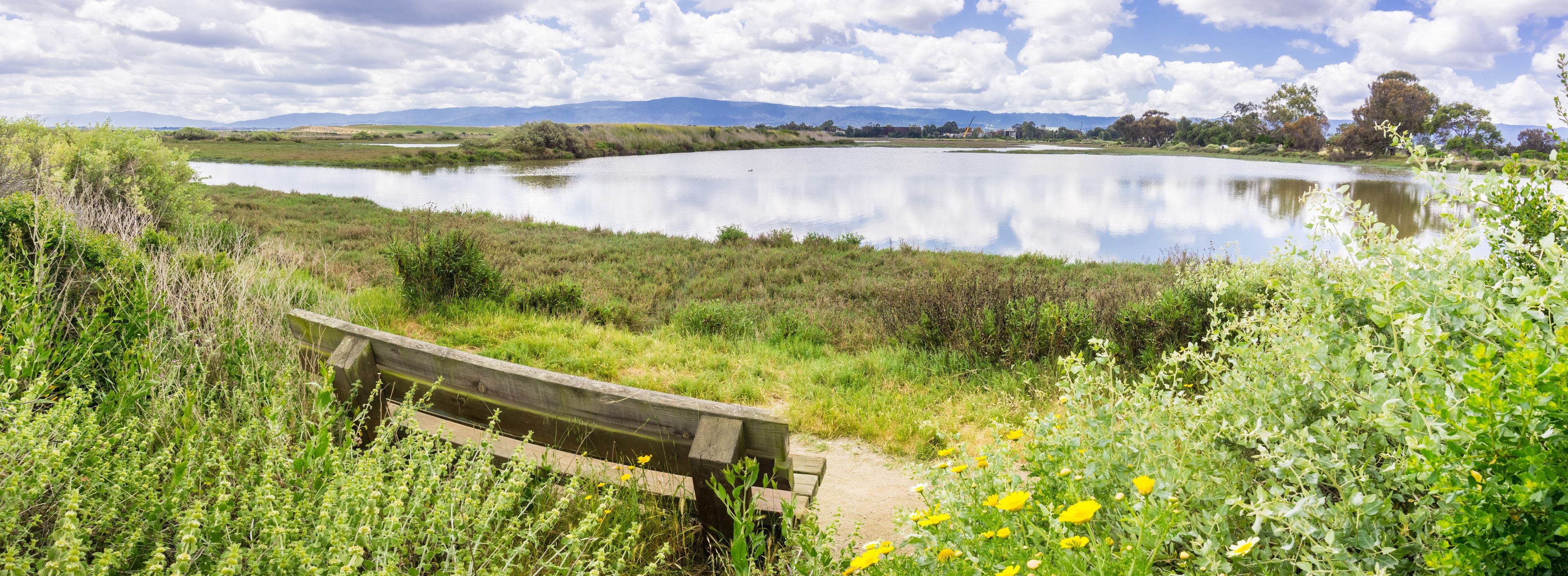 Um lago tranquilo com um banco de madeira, rodeado por vegetação exuberante e flores silvestres.