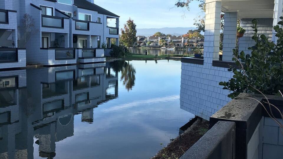 Beautiful views from the patio in San Fran. Thanksgiving vacation 2016 🌁