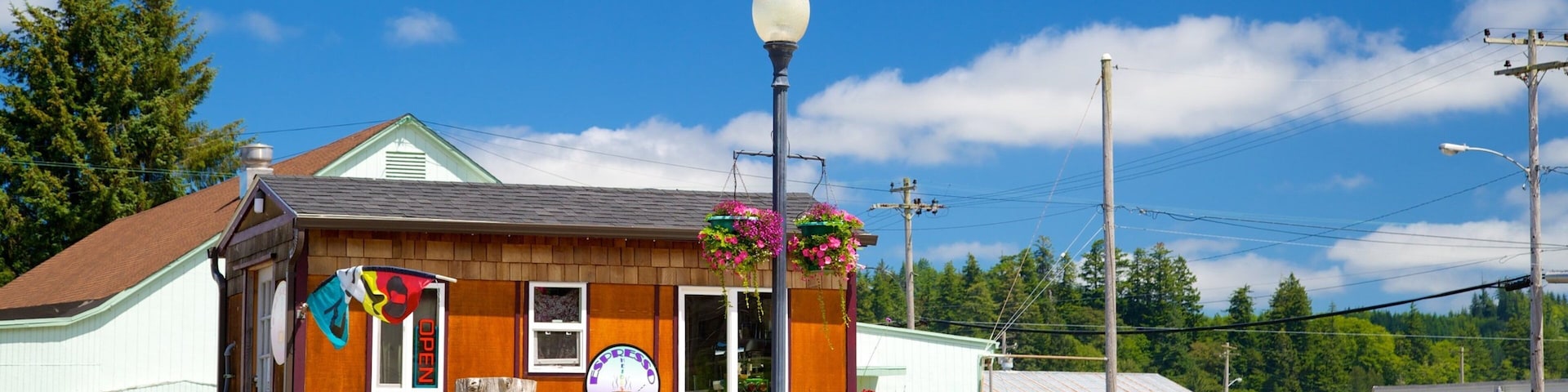 A wooden building with a red door, a street lamp, and hanging flower baskets.